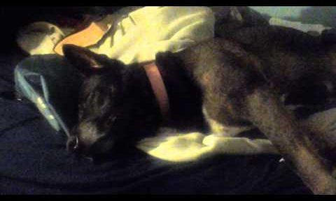 20130826_022659.mp4