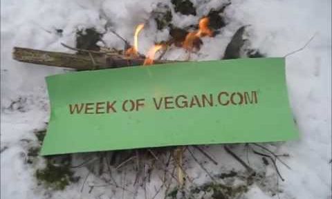 WeekofVegan.com
