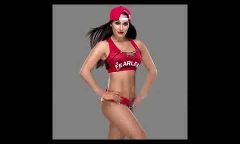 Nikki Bella’s Legs in Tights/Pantyhose 8( Read Description)