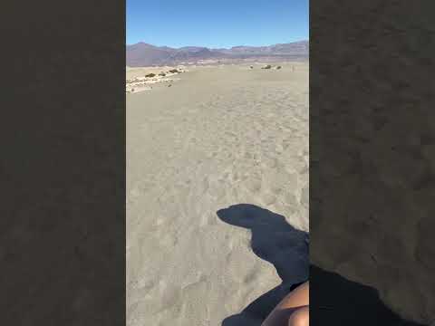 Saw the sand dunes
